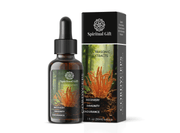Pure Cordyceps Ultrasonic Extract