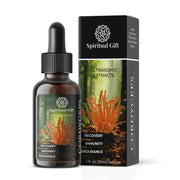 Pure Cordyceps Ultrasonic Extract